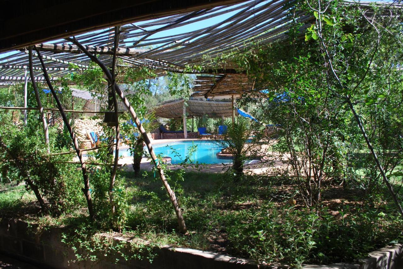 Amber Lagoon Backpackers Lodge Vleirivier Exterior foto