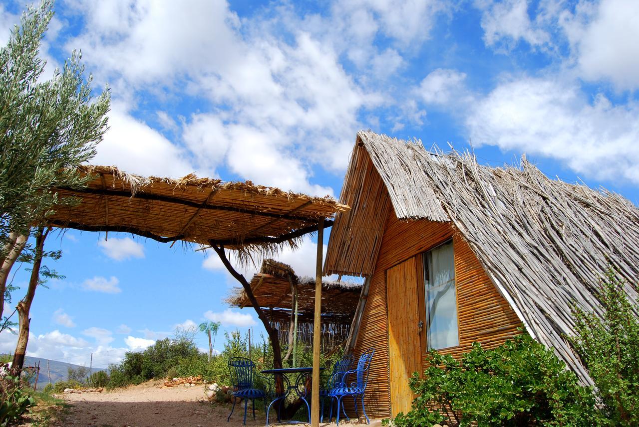 Amber Lagoon Backpackers Lodge Vleirivier Exterior foto
